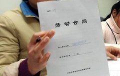 ICE农产品期货主力合约收