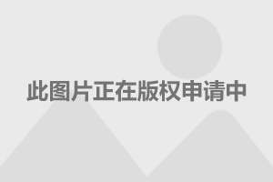 超44万人爆仓！加密货币遭遇史诗级暴跌背后的真相